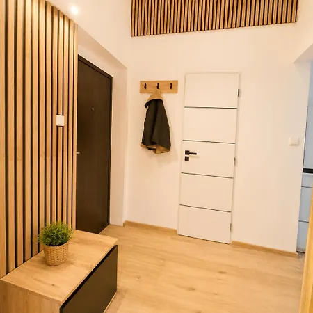Brand New Luxury Heart Of Apartment